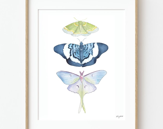 Blue Moth Wall Art, Watercolor Luna Moth Art Print, Butterfly Wall Art, Entomology Art, Boho Moth Wall Art, Cottagecore Moth Art