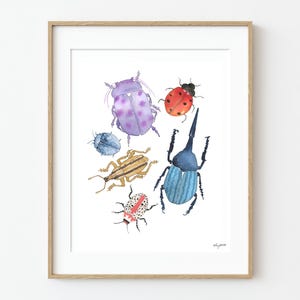 Colorful Beetles Art Print, Watercolor Insect Wall Art, Nature Inspired Bug Illustration, Entomology Decor, Lady Big Nursery Art, Kids Room