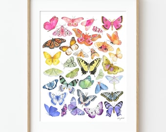 Rainbow Butterfly & Moth Wall Art, Watercolor Moth Art Print, Entomology Art, Butterfly Moth Kids Wall Art, Nature Wall Decor for Nursery