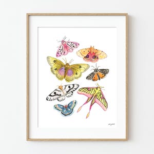 Motte Wandkunst, Bunte Aquarell Motte Kunstdruck, Insekt Wandkunst, Entomologie Kunst, Schmetterling Motte Kinder Wandkunst, Cottagecore Motte Kunst