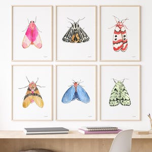 Set of 6 Colorful Moth Art Prints – Watercolor Insect Wall Art, Boho Gallery Wall Decor, Nature Inspired Art Prints, Pink Moth Art