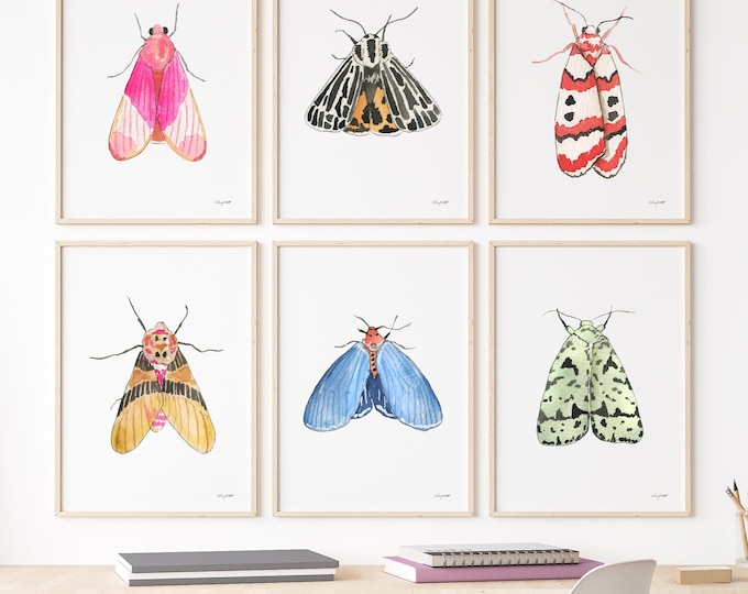 Set of 6 Colorful Moth Art Prints – Watercolor Insect Wall Art, Boho Gallery Wall Decor, Nature Inspired Art Prints, Pink Moth Art