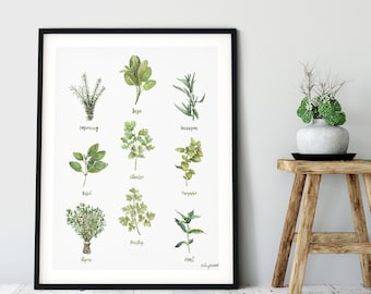 Kitchen Herb Chart print Watercolor Painting Sage Thyme Rosemary Parsley, Botanical Herbalist Kitchen Decor Wall Paintings, Herbs and Spices