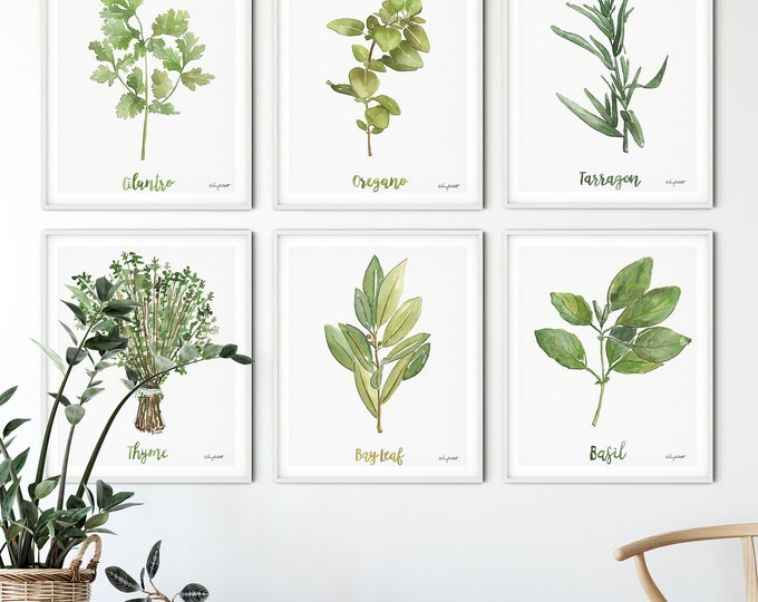 Set of 6 Herb Art Prints, Watercolor Painting, Herb Wall Art, Kitchen Wall Art, Cilantro, Oregano, Thyme, Gallery Wall Set, Kitchen Decor