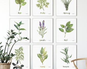 Set of 9, Herbs And Spices, Kitchen Wall Art, Herb Kitchen Art, Botanical Wall Art, Plant Lover Gift, Gallery Wall Set, Watercolor painting