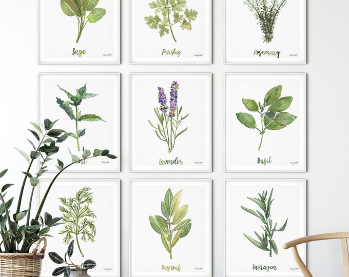 Set of 9, Herbs And Spices, Kitchen Wall Art, Herb Kitchen Art, Botanical Wall Art, Plant Lover Gift, Gallery Wall Set, Watercolor painting