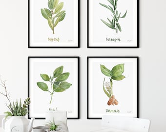 Herb Wall Art, Set 4 Herbs Kitchen Art Prints, Bay Leaf, Tarragon, Turmeric, Basil Watercolor Painting, Farmhouse Kitchen Decor, Herb Sets