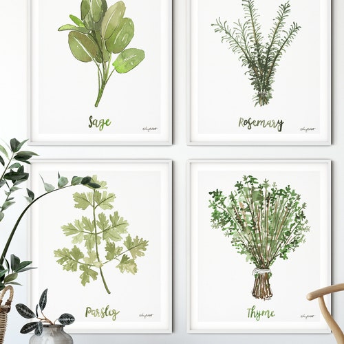 Kitchen Prints. Watercolor Botanical Print Set of 4. Kitchen - Etsy