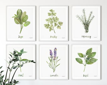 Herbs Set of 6 Art Prints, Watercolor Painting, Sage Rosemary Lavender Basil Parsley, Botanical Painting, Farmhouse Kitchen Wall Art