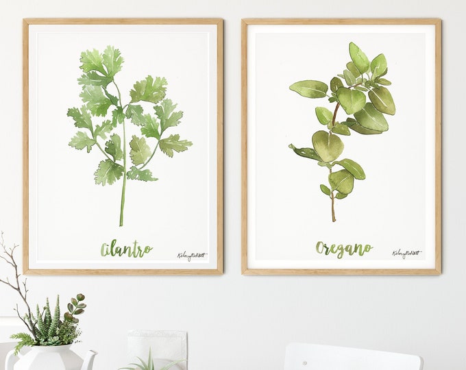 Kitchen Herbs Set, Cilantro Oregano Watercolor Painting, Herb Art Print, Farmhouse Decor, Watercolor Botanical Poster Home Decor, Set of 2