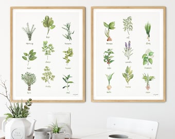 Set of 2 Kitchen Herb Chart Prints, Watercolor Painting, Sage Thyme Rosemary, Kitchen Painting, Kitchen Decor, herbalist botanical prints