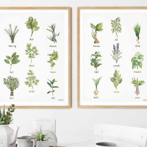 Set of 2 Kitchen Herb Chart Prints Watercolor Painting Sage - Etsy