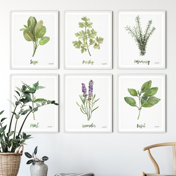 Herbs Set of 6 Art Prints, Watercolor Painting, Sage Rosemary Lavender Basil Parsley, Botanical Painting, Farmhouse Kitchen Wall Art