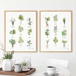 Conjunto de 2 impressões de gráfico de ervas de cozinha, pintura em aquarela, sálvia tomilho alecrim, pintura de cozinha, decoração de cozinha, estampas botânicas fitoterapeutas