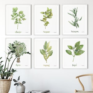 Set of 6 Herb Art Prints, Watercolor Painting, Herb Wall Art, Kitchen Wall Art, Cilantro, Oregano, Thyme, Gallery Wall Set, Kitchen Decor