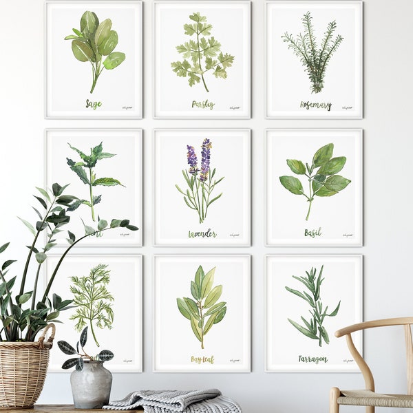Set of 9, Herbs And Spices, Kitchen Wall Art, Herb Kitchen Art, Botanical Wall Art, Plant Lover Gift, Gallery Wall Set, Watercolor painting