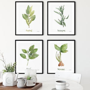 Herb Wall Art, Set 4 Herbs Kitchen Art Prints, Bay Leaf, Tarragon, Turmeric, Basil Watercolor Painting, Farmhouse Kitchen Decor, Herb Sets