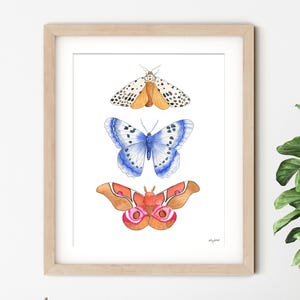 Bunte Motte Wandkunst, Aquarell Motte Kunstdruck, Insekt Wandkunst, Entomologie Kunst, Schmetterling Motte Kinder Wandkunst, Cottagecore Motte Kunst