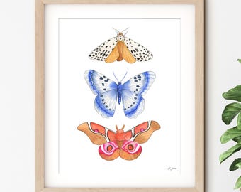 Colorful Moth Wall Art, Watercolor Moth Art Print, Insect Wall Art, Entomology Art, Butterfly Moth Kids Wall Art, Cottagecore Moth Art