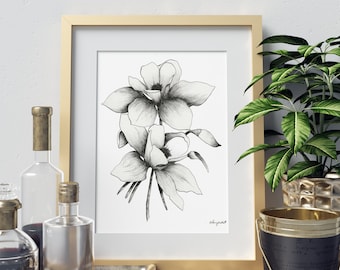 Blue Columbine Flower, Ink Sketch Wall Art, Botanical Wall Artwork of Flower, Black and White, Large Poster, Floral Art, Teen Room Decor