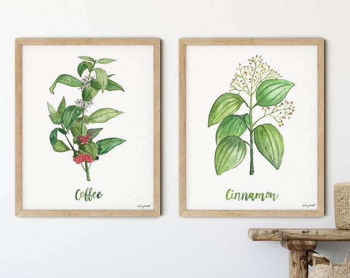 Kitchen Herbs Set, Coffee Cinnamon Watercolor Painting, Herb Art Print, Coffee Wall Art, Watercolor Botanical Poster. Kitchen Decor Set of 2