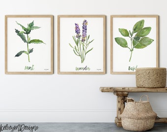 Kitchen Herbs Set, Lavender Watercolor Painting, Mint Art Print, Basil, Farmhouse Decor, Watercolor Botanical Poster Home Decor, Set of 3