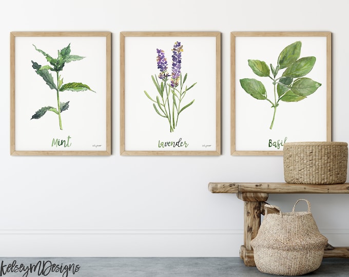 Kitchen Herbs Set, Lavender Watercolor Painting, Mint Art Print, Basil, Farmhouse Decor, Watercolor Botanical Poster Home Decor, Set of 3