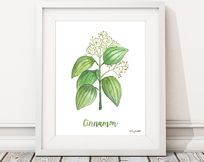 Cinnamon Herb Wall Art, Kitchen Wall Decor, Cinnamon Plant, Kitchen Artwork, Botanical Wall Art, Herbs Kitchen Art, Watercolor Painting