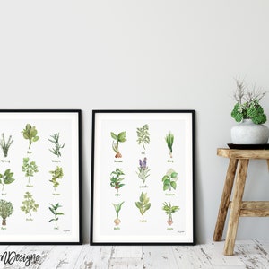 Set of 2 Kitchen Herb Chart Prints, Watercolor Painting, Sage Thyme Rosemary, Kitchen Painting, Kitchen Decor, herbalist botanical prints image 2