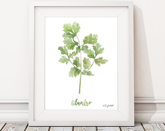 Aquarell Malerei Cilantro Kraut Druck, Aquarell Wand Kunst Housewarming Geschenk Küche Dekor botanische Druck Kräuter Küchenkunst, Geschenk für Sie