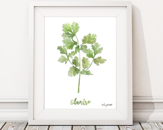 Watercolor Painting Cilantro Herb Print, Watercolor Wall Art Housewarming Gift Kitchen Decor Botanical Print Herbs Kitchen Art, Gift for Her