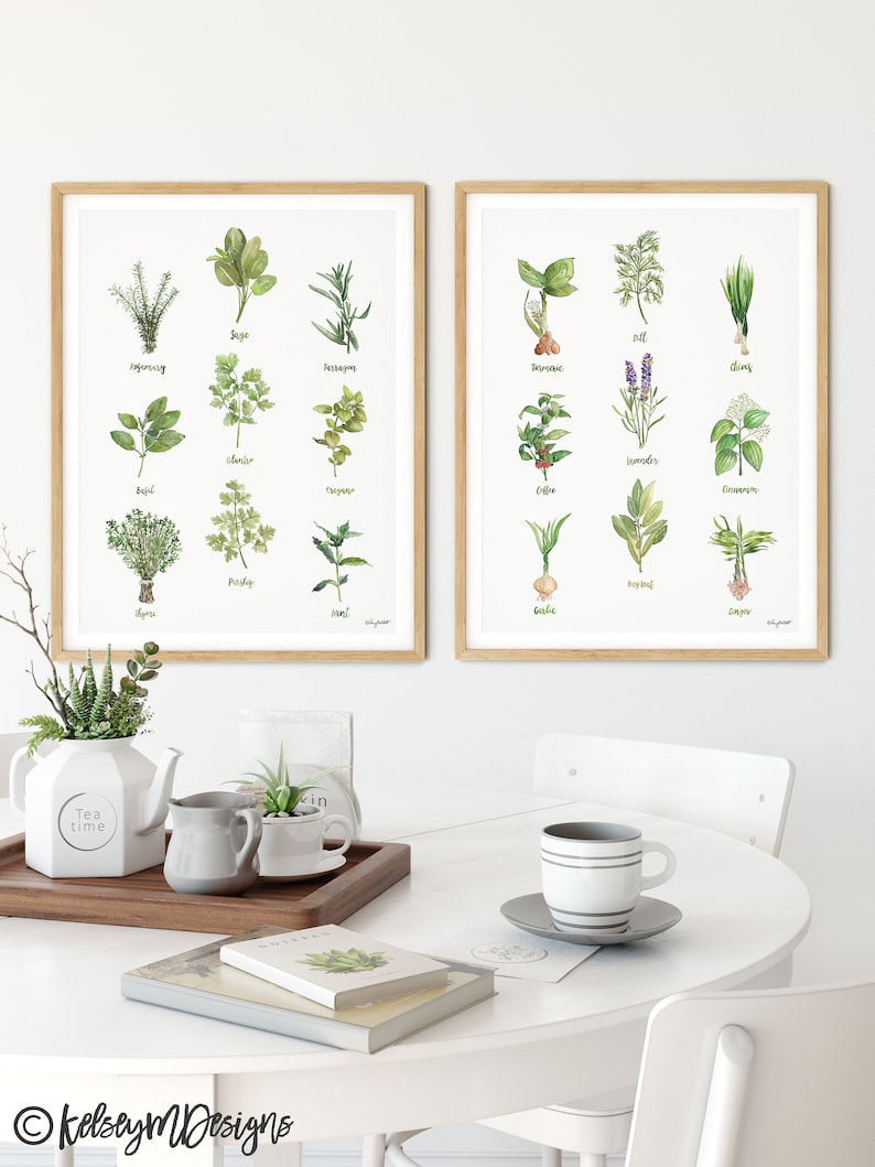 Set of 2 Kitchen Herb Chart Prints, Watercolor Painting, Sage Thyme Rosemary, Kitchen Painting, Kitchen Decor, herbalist botanical prints image 1