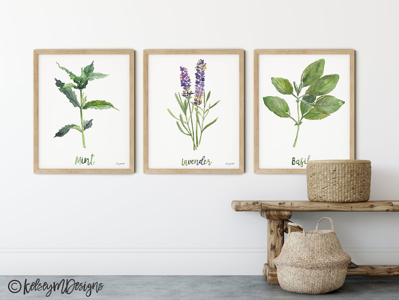 Kitchen Herbs Set, Lavender Watercolor Painting, Mint Art Print, Basil ...