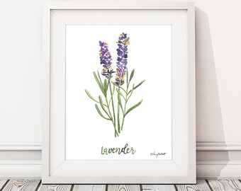 Watercolor Painting Lavender Herb Print, Watercolor Wall Art Housewarming Gift Kitchen Decor Botanical Print, Herbs Kitchen Art Gift for Her
