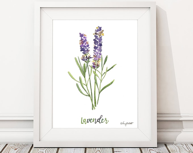 Watercolor Painting Lavender Herb Print, Watercolor Wall Art Housewarming Gift Kitchen Decor Botanical Print, Herbs Kitchen Art Gift for Her