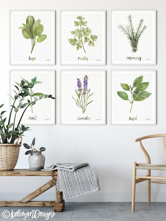 Herbs Set of 6 Art Prints Watercolor Painting Sage Rosemary - Etsy