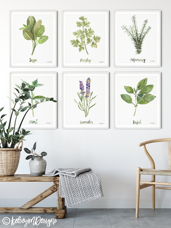 Herbs Set of 6 - Art Watercolor Rosemary Botanical Prints, Kitchen Art Etsy Farmhouse Painting, Wall Parsley, Sage Painting, Basil Lavender