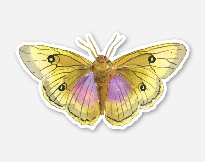 Green Moth Vinyl Sticker, Watercolor Sticker, Butterfly Vinyl Sticker, 2x3 Die Cut Sticker, Sticker for Labtop and Water Bottle
