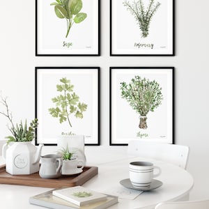 Herbs Set of 4 Watercolor Painting, Kitchen Prints, Sage Thyme Rosemary ...