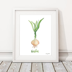 Garlic Herb Plant Print, Kitchen Print, Spice Wall Art, Garlic Painting, Herbs Kitchen Art, Watercolor Painting, Watercolor Herbs, Botanical