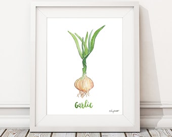 Garlic Herb Plant Print, Kitchen Print, Spice Wall Art, Garlic Painting, Herbs Kitchen Art, Watercolor Painting, Watercolor Herbs, Botanical