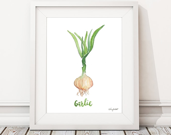 Garlic Herb Plant Print, Kitchen Print, Spice Wall Art, Garlic Painting, Herbs Kitchen Art, Watercolor Painting, Watercolor Herbs, Botanical