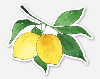 Lemons Sticker, Watercolor Sticker, Lemon Branch Vinyl Sticker, 2x3 Die Cut Sticker, Sticker for Labtop and Water Bottle