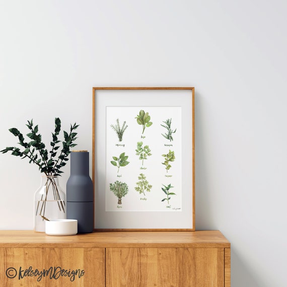 Herbs Set of 4 Watercolor Painting, Kitchen Prints, Sage Thyme