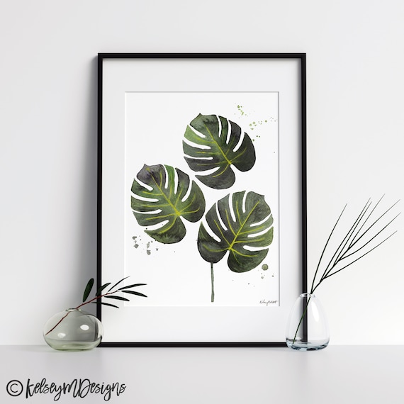 where can you buy prickly pear cactus Eastern Prickly Pear Cactus Pads (Opuntia humifusa) – Streambank Gardens main image 0