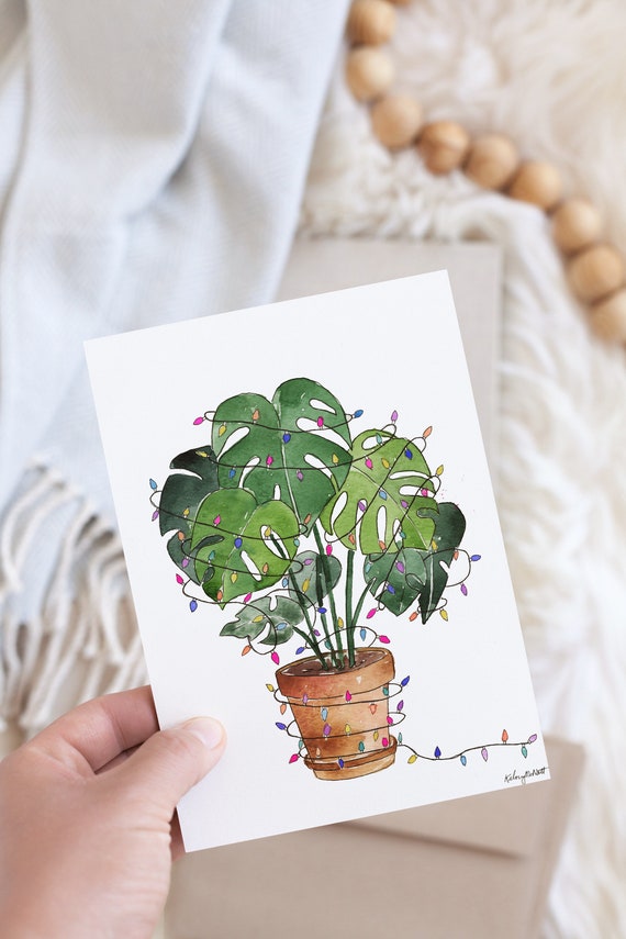 ficus exotica plant Ficus Exotica – LA FLORIE