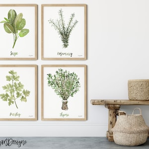 Herbs Set of 4 Watercolor Painting, Kitchen Prints, Sage Thyme Rosemary ...