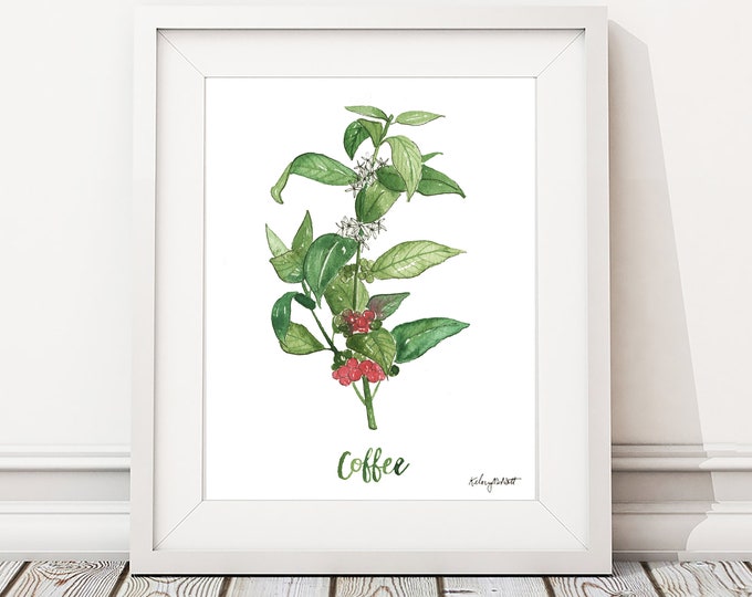 Coffee Plant Herb Wall Art, Watercolor Painting, Kitchen Wall Art, Coffee Bar Art Decor, Kitchen Decor, Botanical Artwork, Herbs Kitchen Art