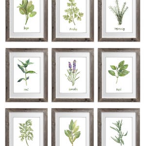 Set of 9, Herbs and Spices, Kitchen Wall Art, Herb Kitchen Art ...