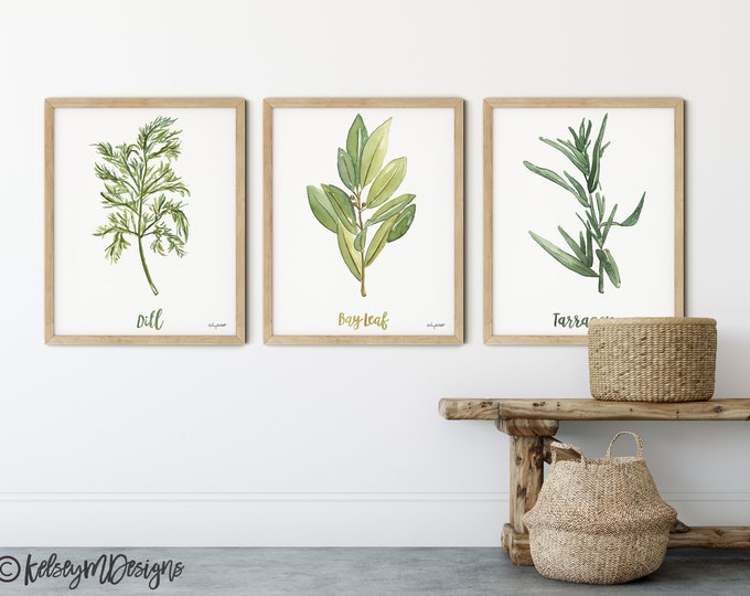 Kitchen Herbs Wall Art, Botanical Herb Set of 3, Watercolor Painting, Dill, Bay Leaf, Tarragon, Farmhouse Kitchen Decor, Herb Art Print